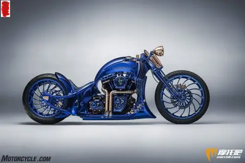 摩闻迄今史上最贵的哈雷定制摩托车惊艳登场