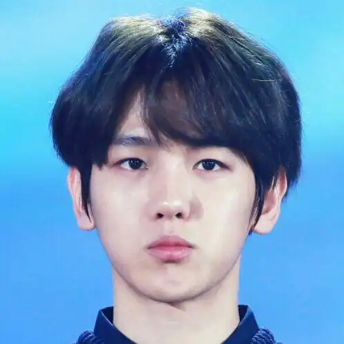 exo 边伯贤 kbs歌谣大祝祭 头像