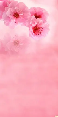 摄影背景布高清大图影楼棚拍照片常用的背景素材-春天的花儿背景30p[