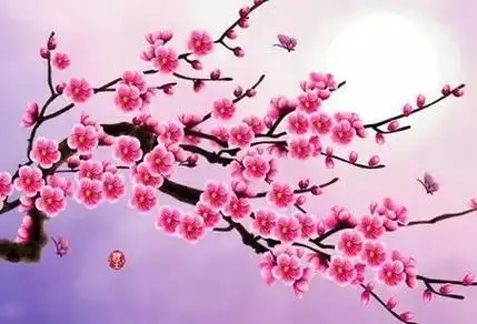 八字桃花运旺的人