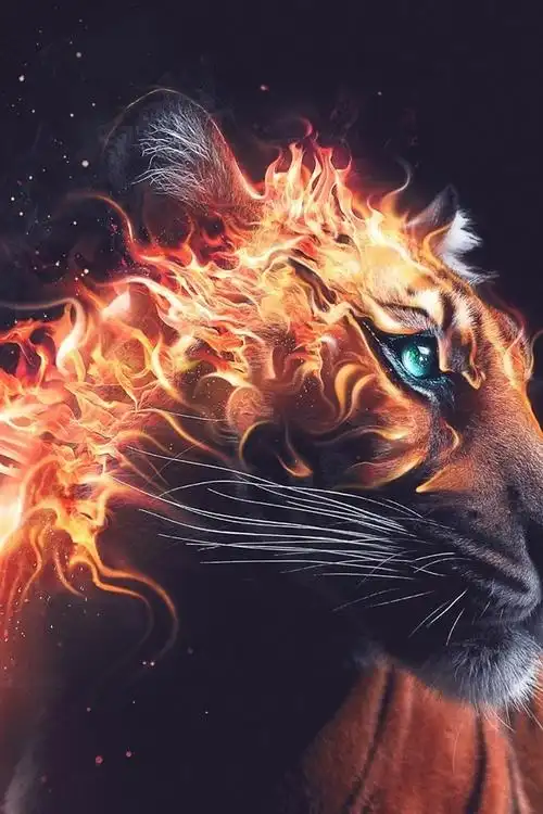 老虎回头看,火,兽,desktopography艺术设计 750x1334 iphone 8/7/6/6s