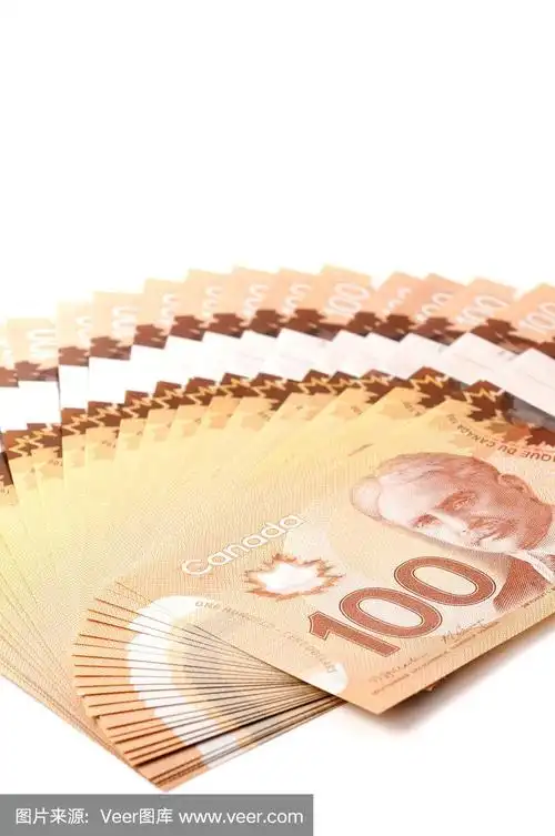 加拿大100元聚合物钞票