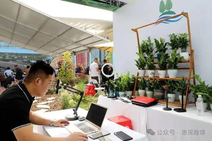 第十一届黄河三角洲(滨州61惠民)绿化苗木博览会举行