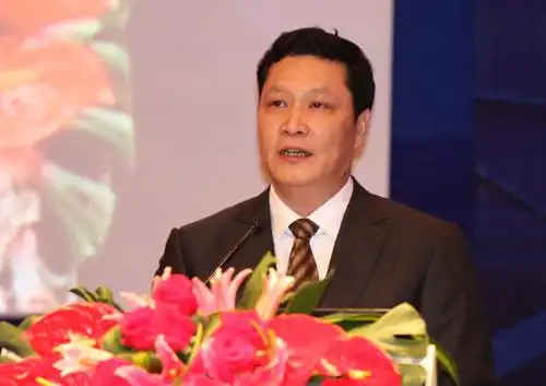 高自民余新国任深圳市委常委