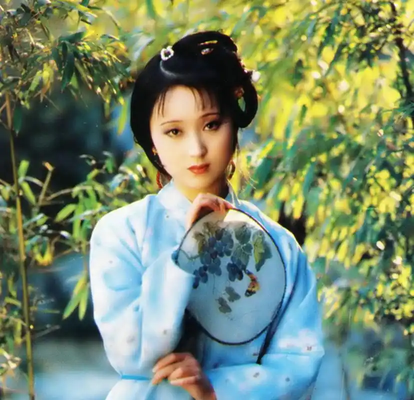 林黛玉是才女也是一位理财高手你认可吗