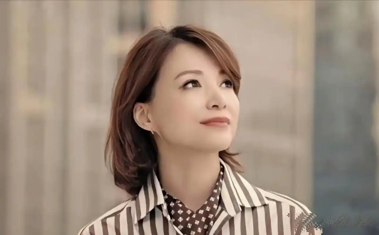 董卿这气质真漂亮