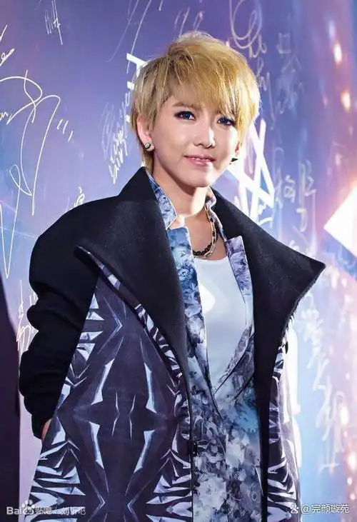 顶流快女刘忻曾被陈晓力挺缘何巅峰即陨落选择大于努力