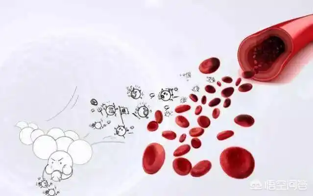 有液体和有形成分的检查两部分组成血液中,主要包括三种不同功能细胞
