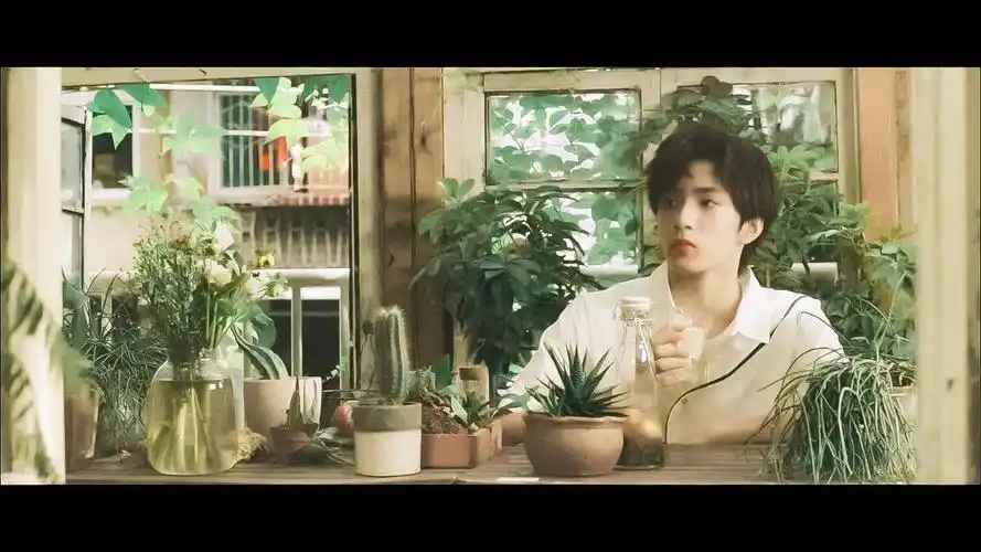 时代少年团-刘耀文 cr:青崖寻酒 - 堆糖,美图壁纸兴趣社区