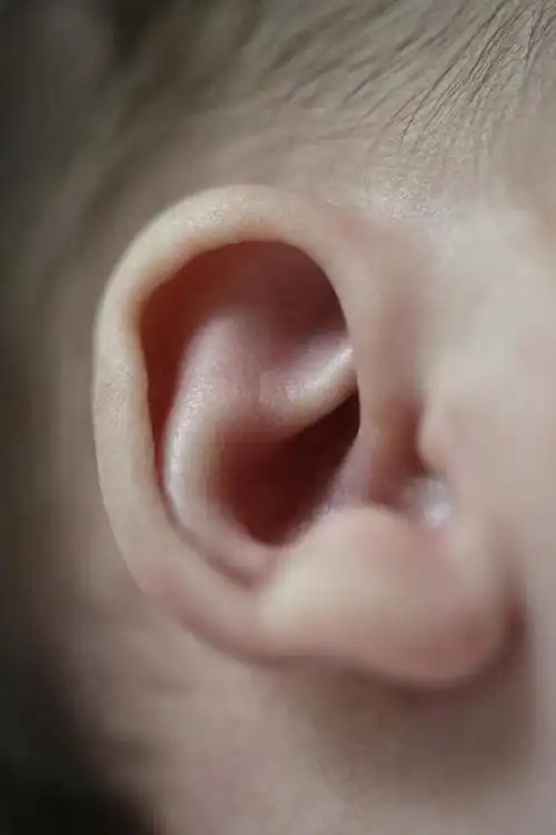 西方人,婴儿,儿童,耳朵,头发,竖图,室内,特写,白天,侧面,纯洁,欧洲