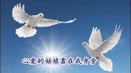 世界名曲《鸽子》——胡里奥原唱经典, 一首被多国争为本国民歌的顶级