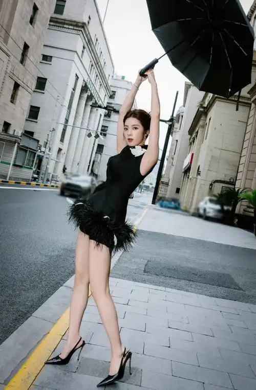 万鹏清冷黑天鹅