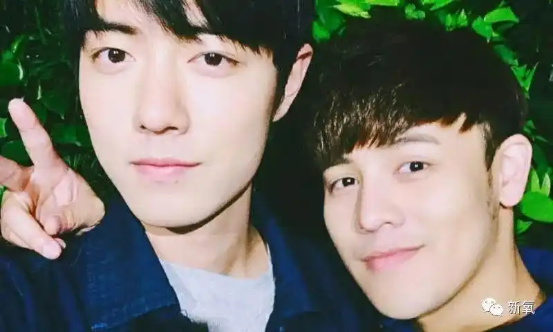 照现在的进度看,肖战,杨洋的少年气能撑到何时?
