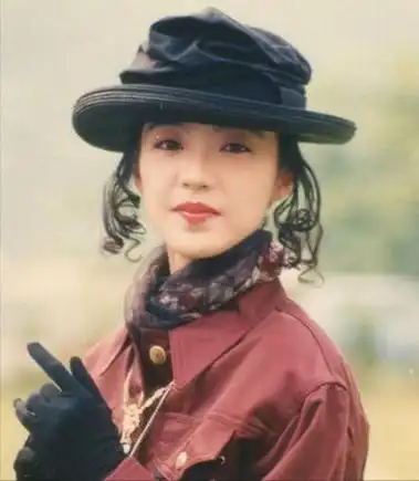 陈慧娴颜值巅峰时期(陈慧娴巅峰时为何出国)(10)