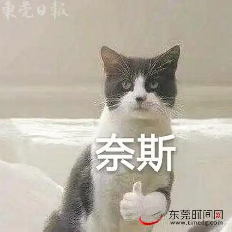 多用于评价一件事情,表示"干得好""做得好"等意思,常常搭配表情包一同