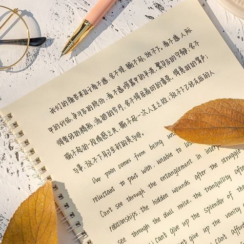 阡囤 英文练字帖手写体中英速写奶酪陷阱chris.