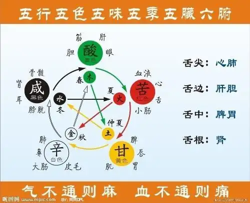 求祥解!跟金木水火土一样吗?