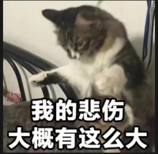 姐妹们寄快递一定要问好是顺丰还是丰网速运