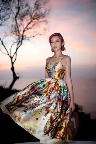 王子清惊艳亮相巴厘岛时装周 从娱乐圈跨界到时尚圈