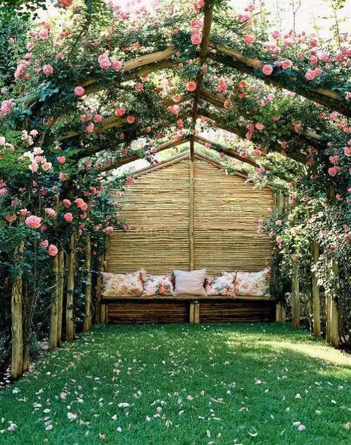 等老了,我想和你有个小院.