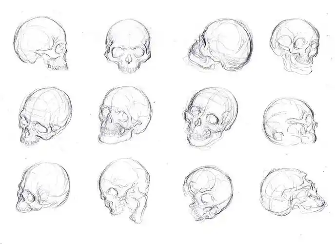 2019人体绘画头部技巧动漫手绘教程