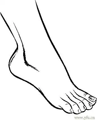 好看的脚简笔画大图