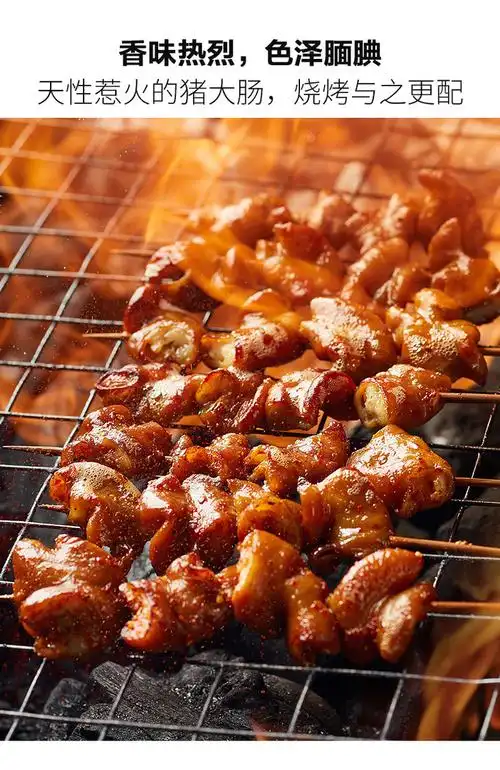猪大肠串10串烧烤食材半成品卤肥肠串