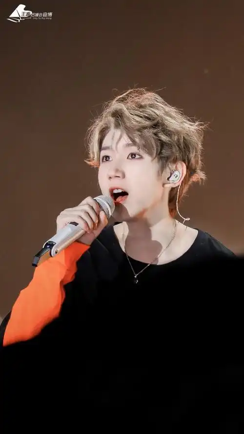 王源重庆工作室申请注销