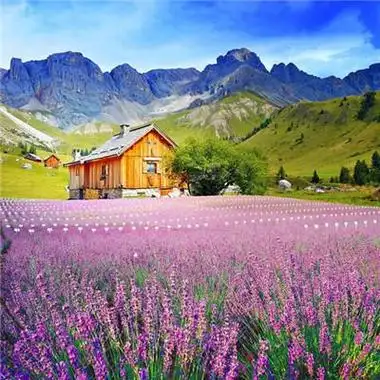 创意风水头像图片(最佳风水头像图片大全)