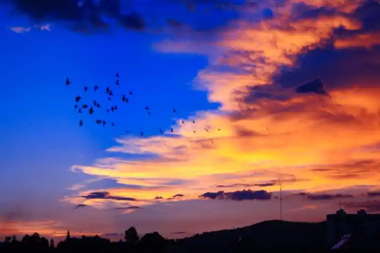 彩霞,傍晚,飞鸟,黄昏彩霞壁纸图片