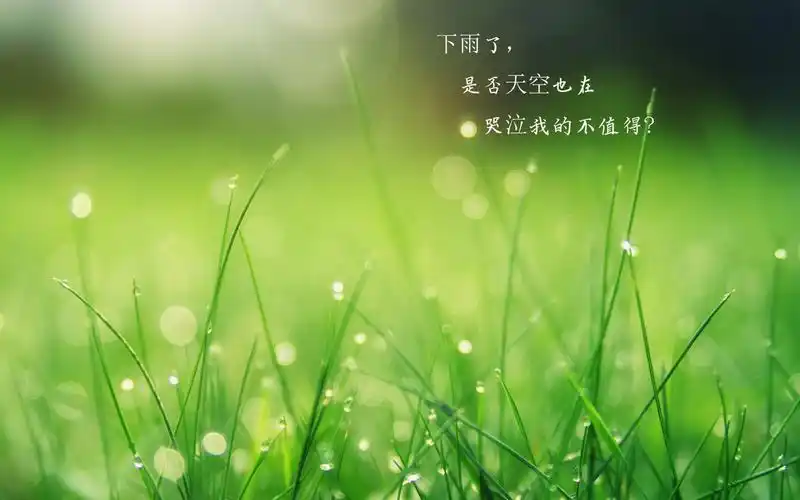 下雨天心凉凉带字图片