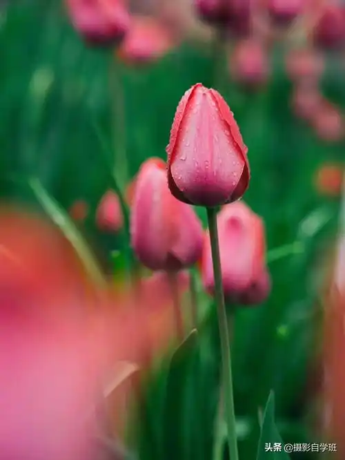 3448_4592竖版 竖屏