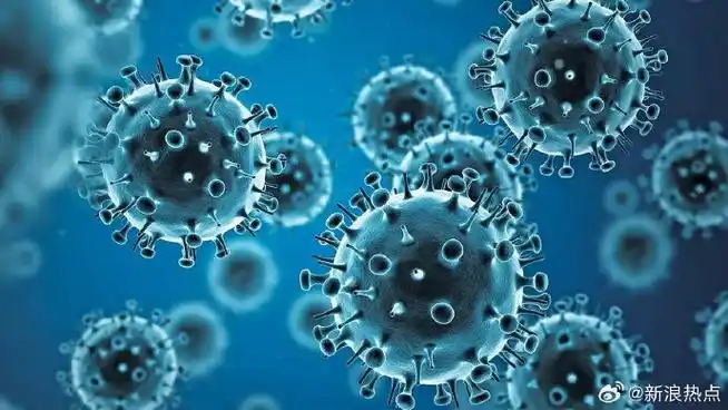 据财联社:周二发布的一项重要研究显示,在新冠肺炎疫情爆发的头两年