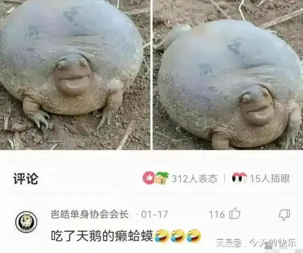 搞笑图片第452期大学生们放假后的经济来源笑死人