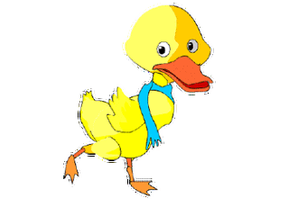 都说鸭子是"喵星人"的最爱.