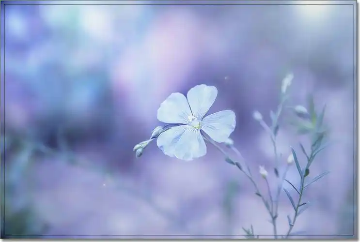 或许是因为从小在贫穷中度过的岁月,或许是长辈的谆谆教导的缘故,使我