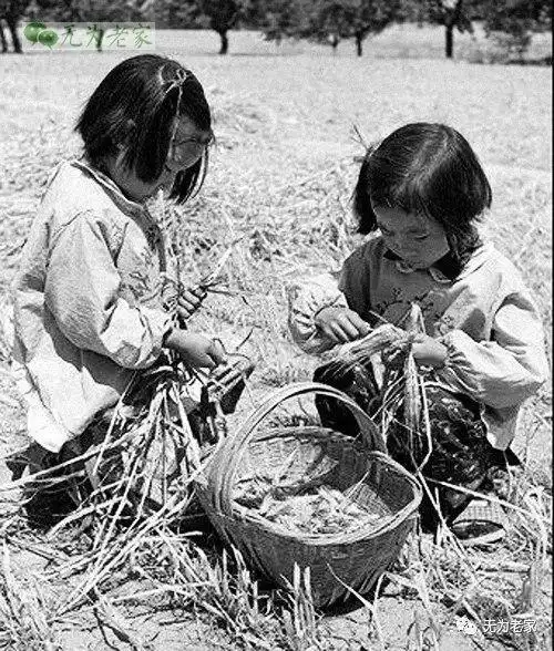 上世纪七八十年代儿童节老照片