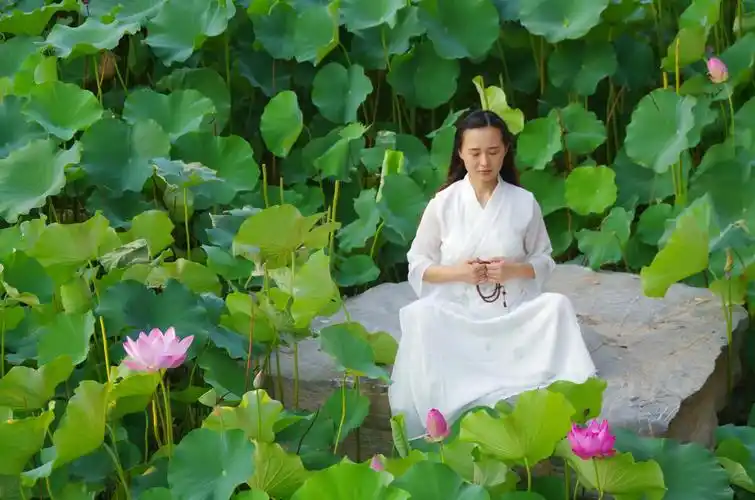 一花一世界心如莲花开