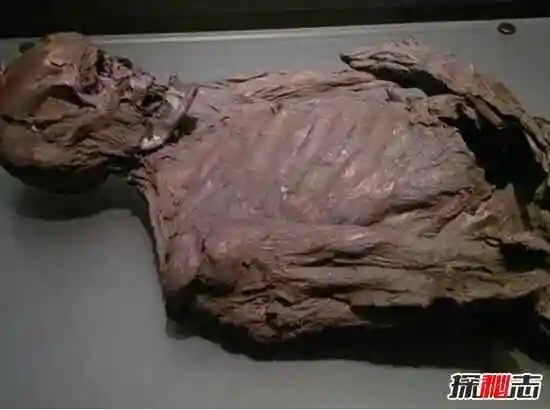 俄老太去世13年无人知晓尸体腐烂变成木乃伊恐怖