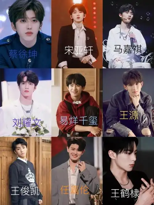 12保3我保蔡徐坤王鹤棣和宋亚轩