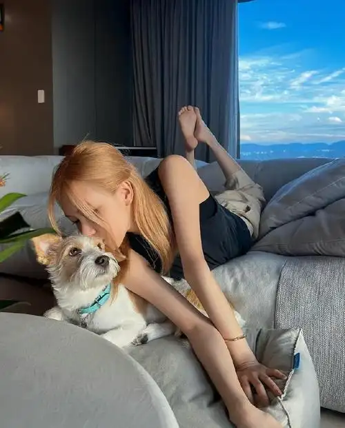 朴彩英去了霉霉演唱会##转发接龙开新年