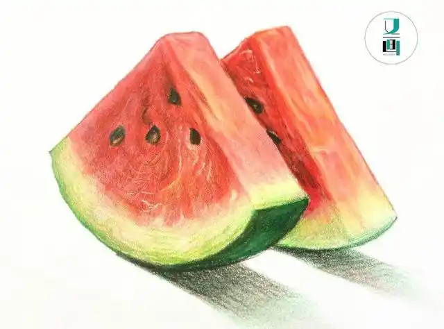 彩铅 家常水果合集 新手入门