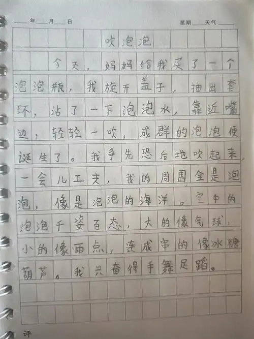 王馨悦的暑假日记