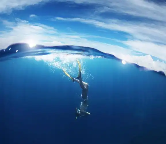 乐趣户外人游泳泳装水下水湿女子