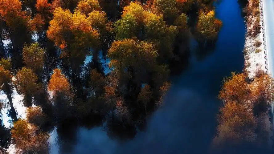 秋天风景 俯视 华为mate40 高清 电脑 壁纸