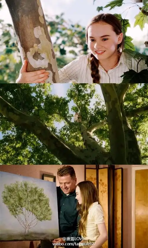 《怦然心动》:爱情是树不是花 - 简书