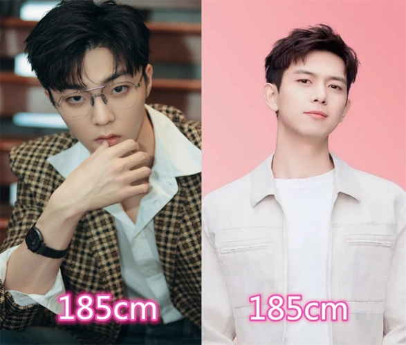 双男主身高差是多少陈立农李现看到胡一天这组8cm差距不算多