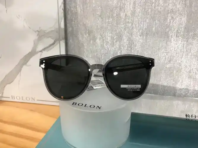 暴龙太阳镜🕶️