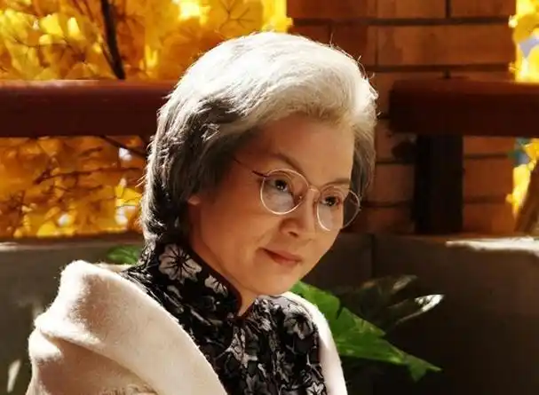 有些艺人,在四十岁的年纪就已经能够传神地演绎出老奶奶的韵味与智慧