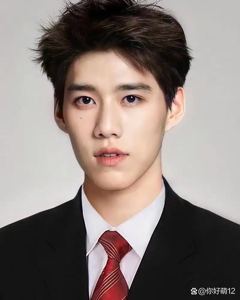 史上最帅证件照 黑衣白衬衫,红领带搭配得如此优雅绅士,让人无法移开